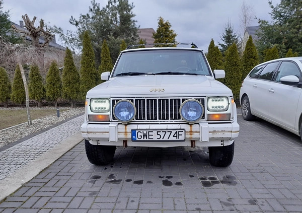 Jeep Cherokee cena 16000 przebieg: 152700, rok produkcji 1990 z Tuszyn małe 56